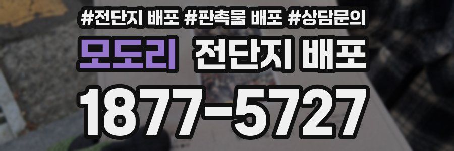 모도리 전단지 배포
