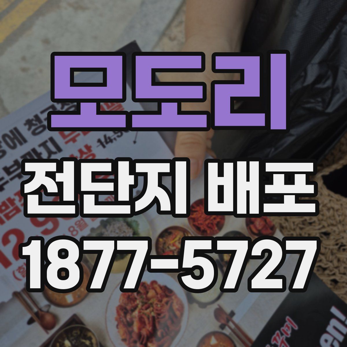 모도리 전단지 배포