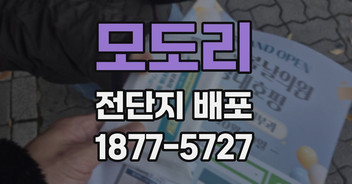 모도리 전단지 배포