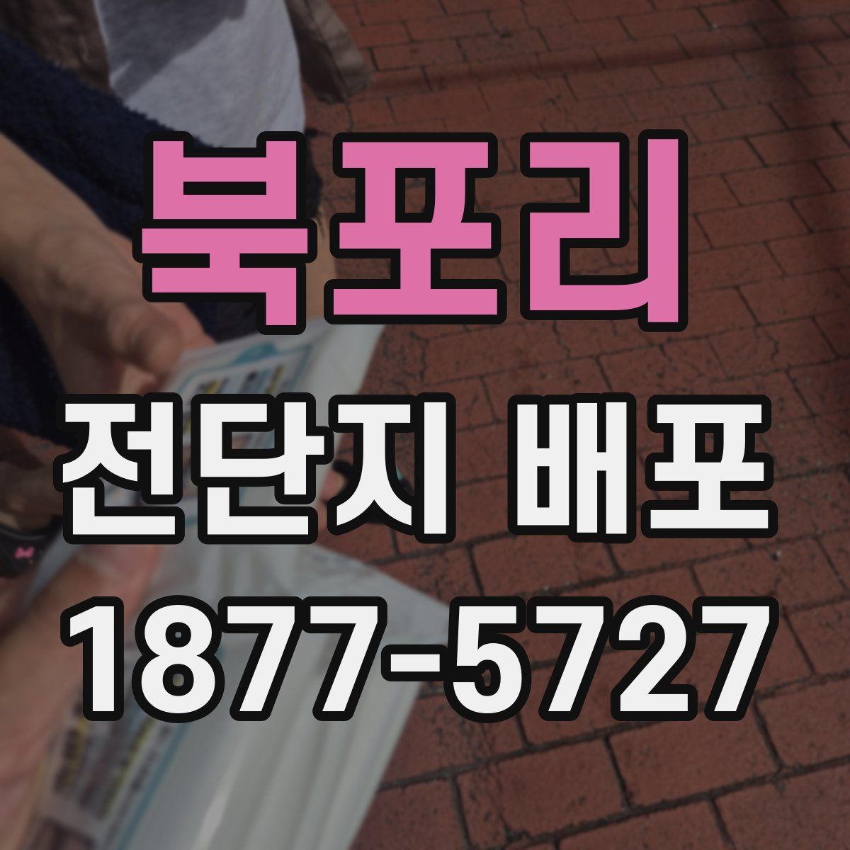 북포리 전단지 배포