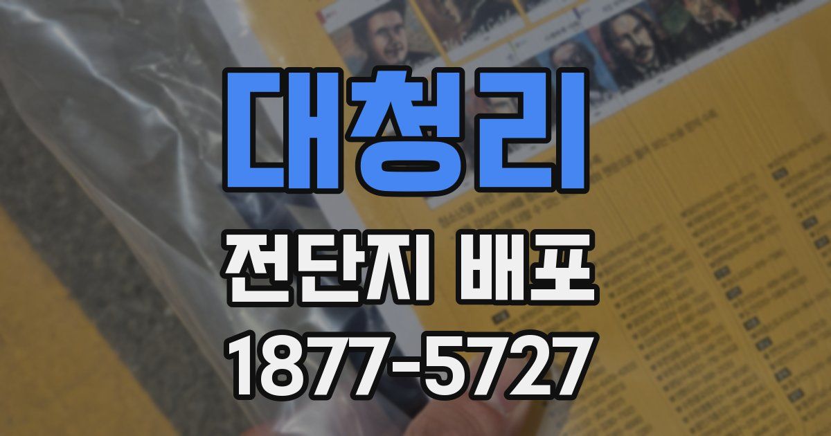 대청리 전단지 배포