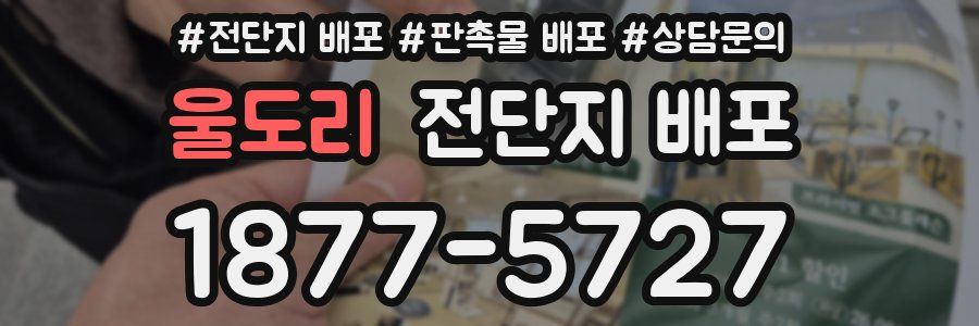 울도리 전단지 배포