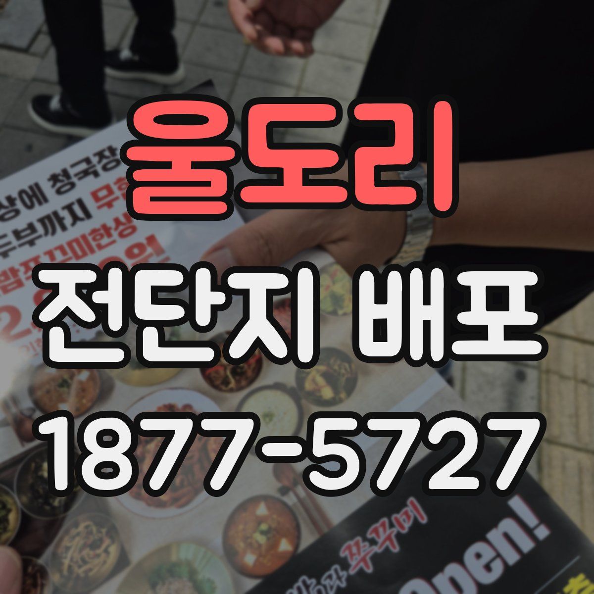 울도리 전단지 배포