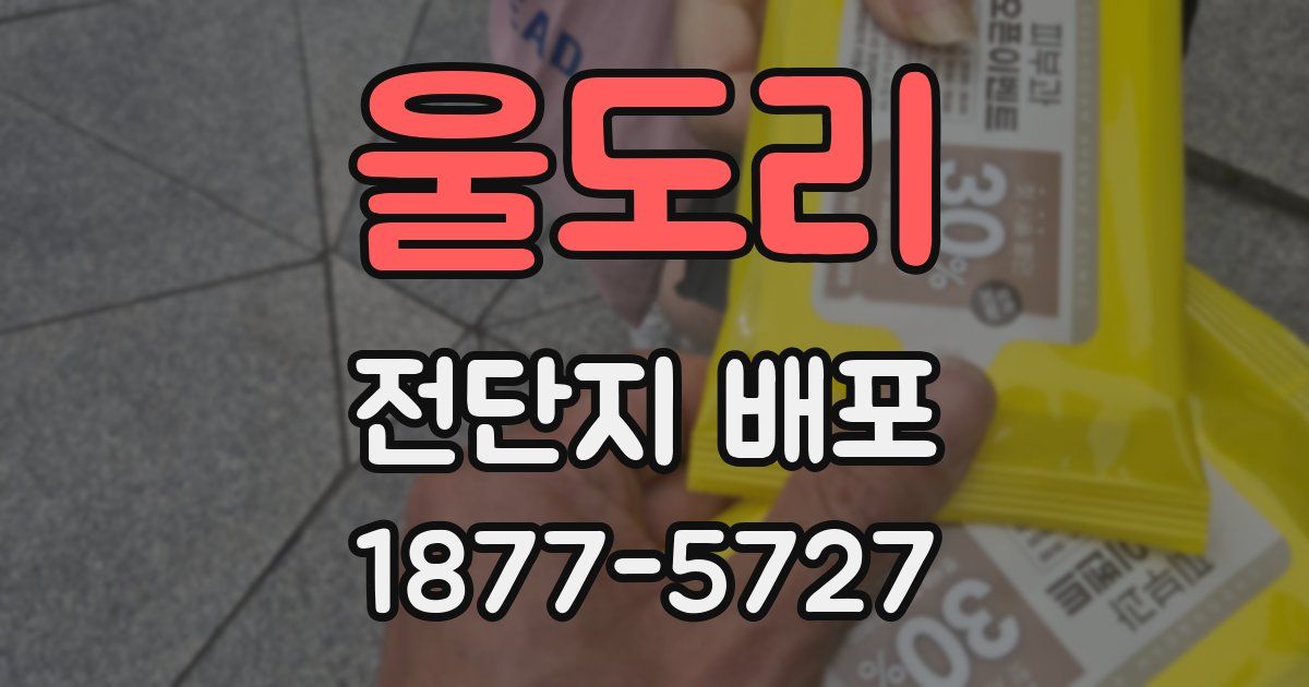 울도리 전단지 배포