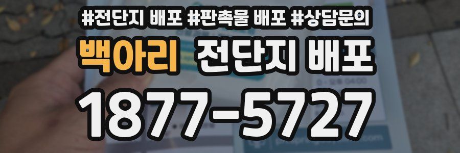백아리 전단지 배포