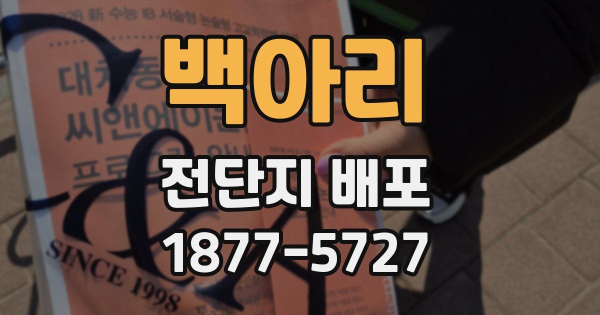 백아리 전단지 배포