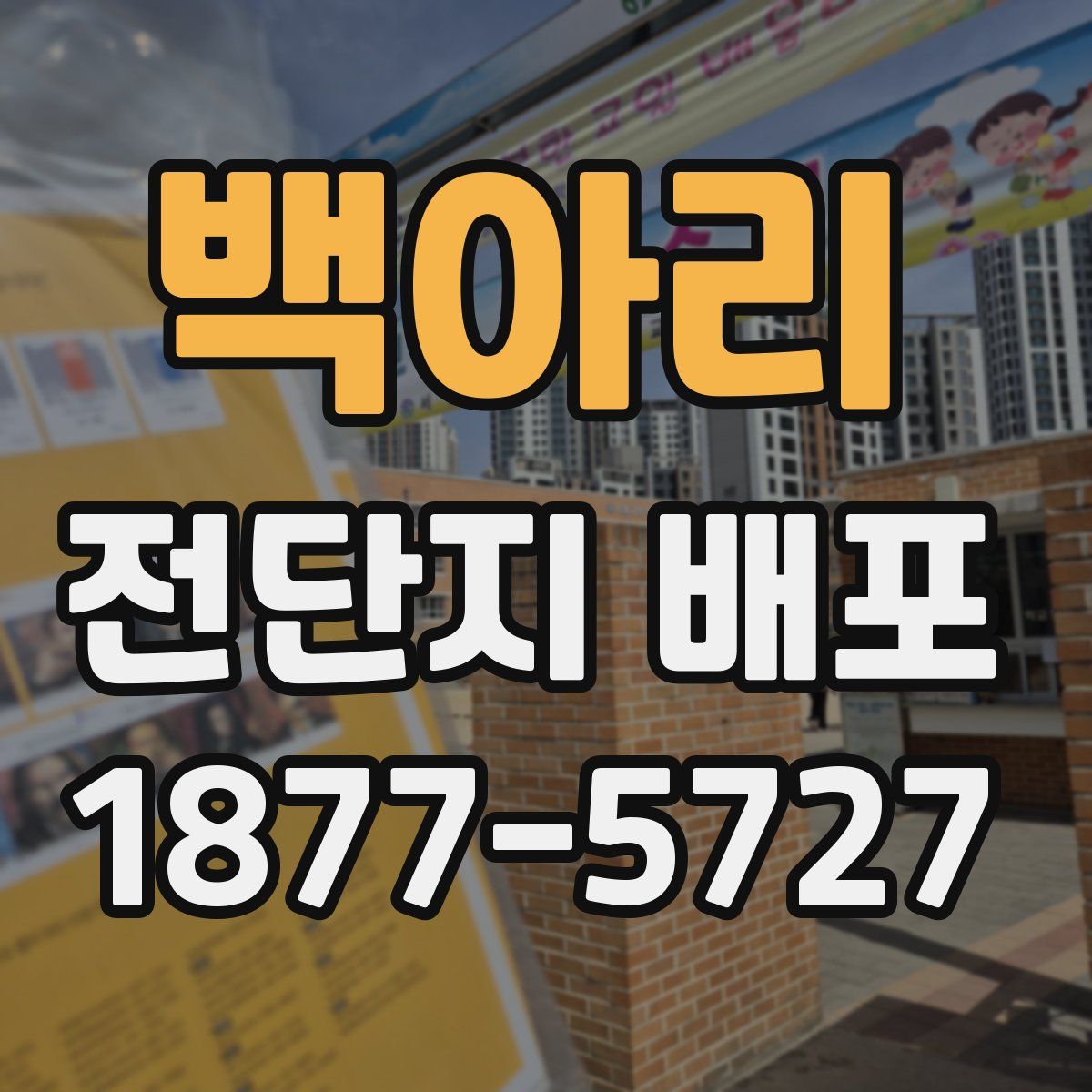 백아리 전단지 배포