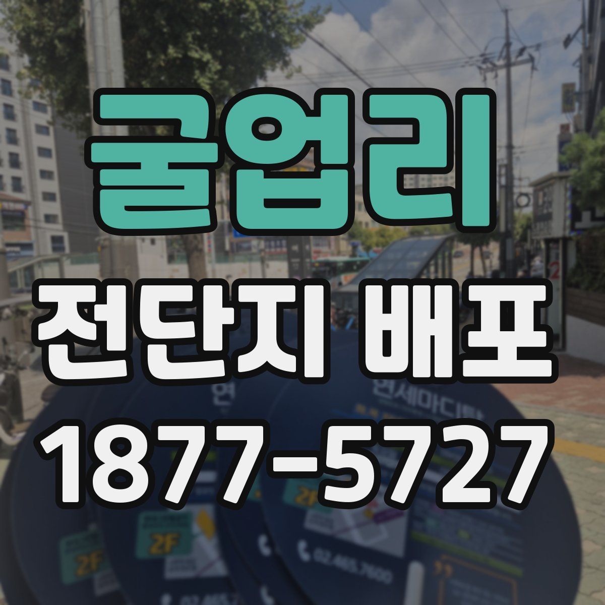 굴업리 전단지 배포
