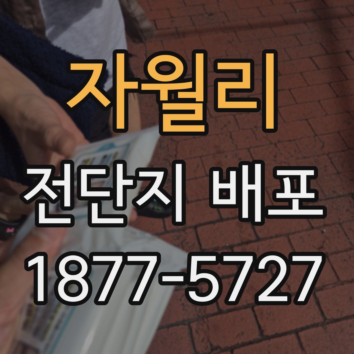 자월리 전단지 배포
