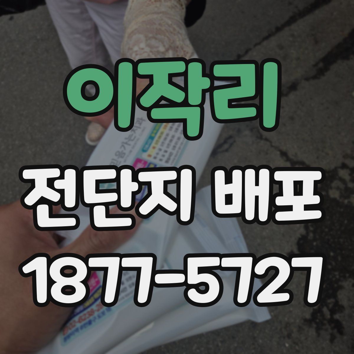 이작리 전단지 배포