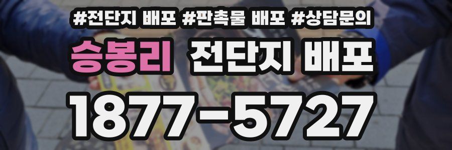 승봉리 전단지 배포