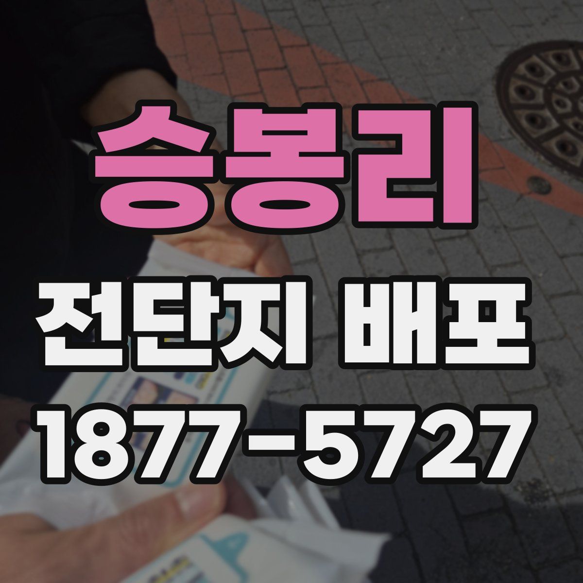 승봉리 전단지 배포