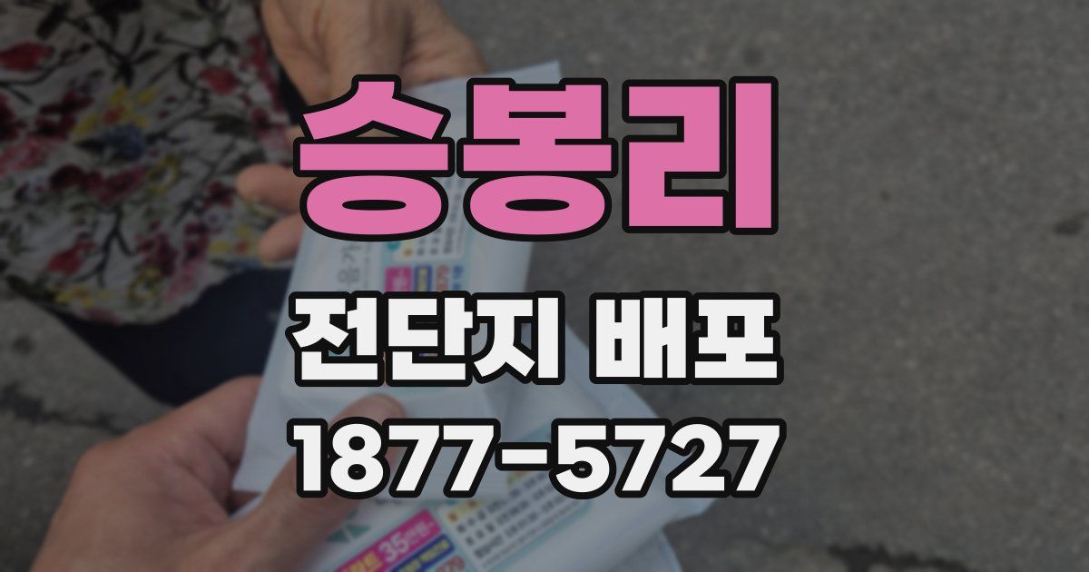 승봉리 전단지 배포