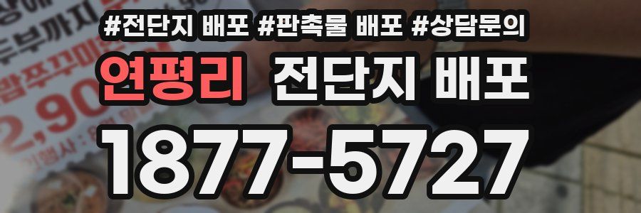 연평리 전단지 배포