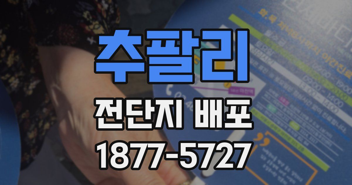 추팔리 전단지 배포