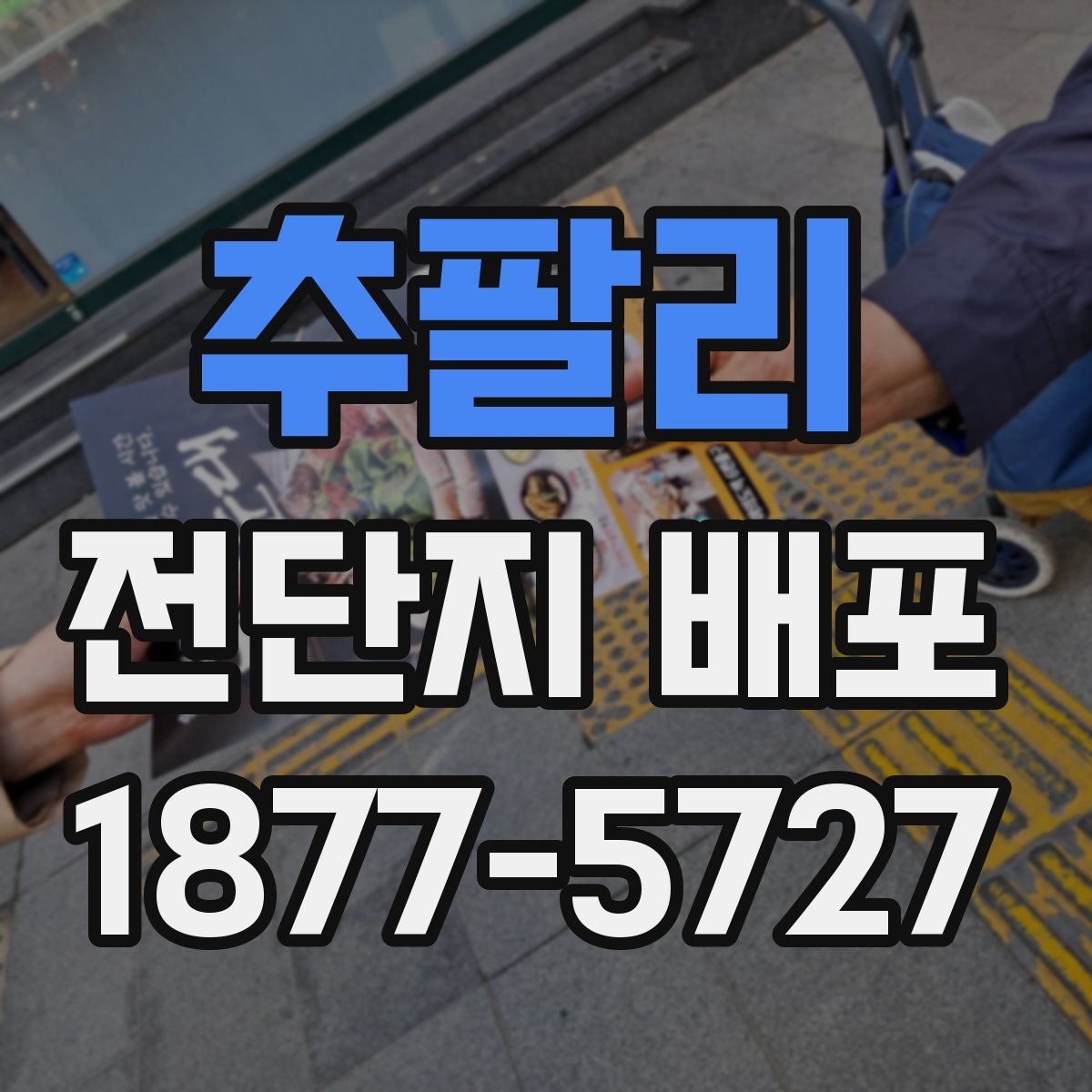 추팔리 전단지 배포
