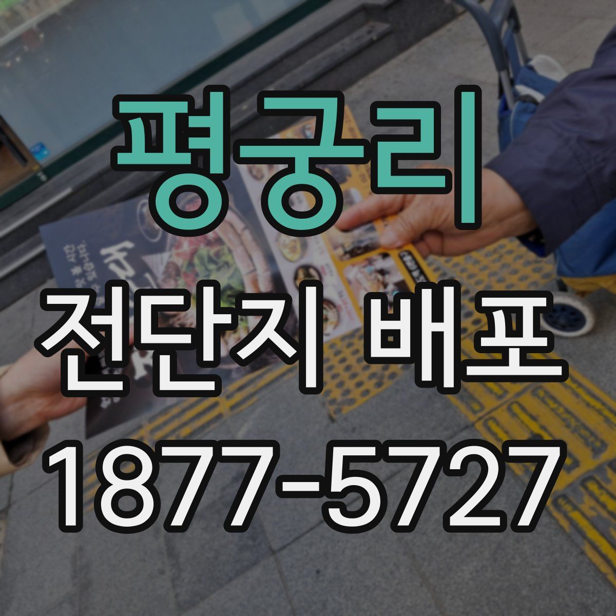 평궁리 전단지 배포