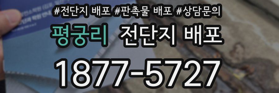 평궁리 전단지 배포