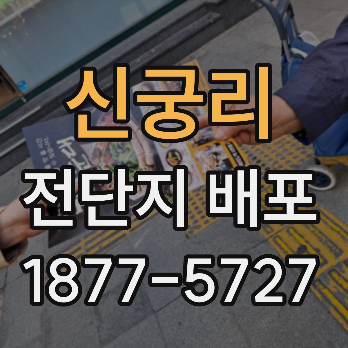 신궁리 전단지 배포