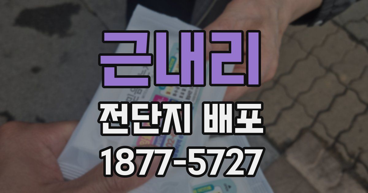 근내리 전단지 배포
