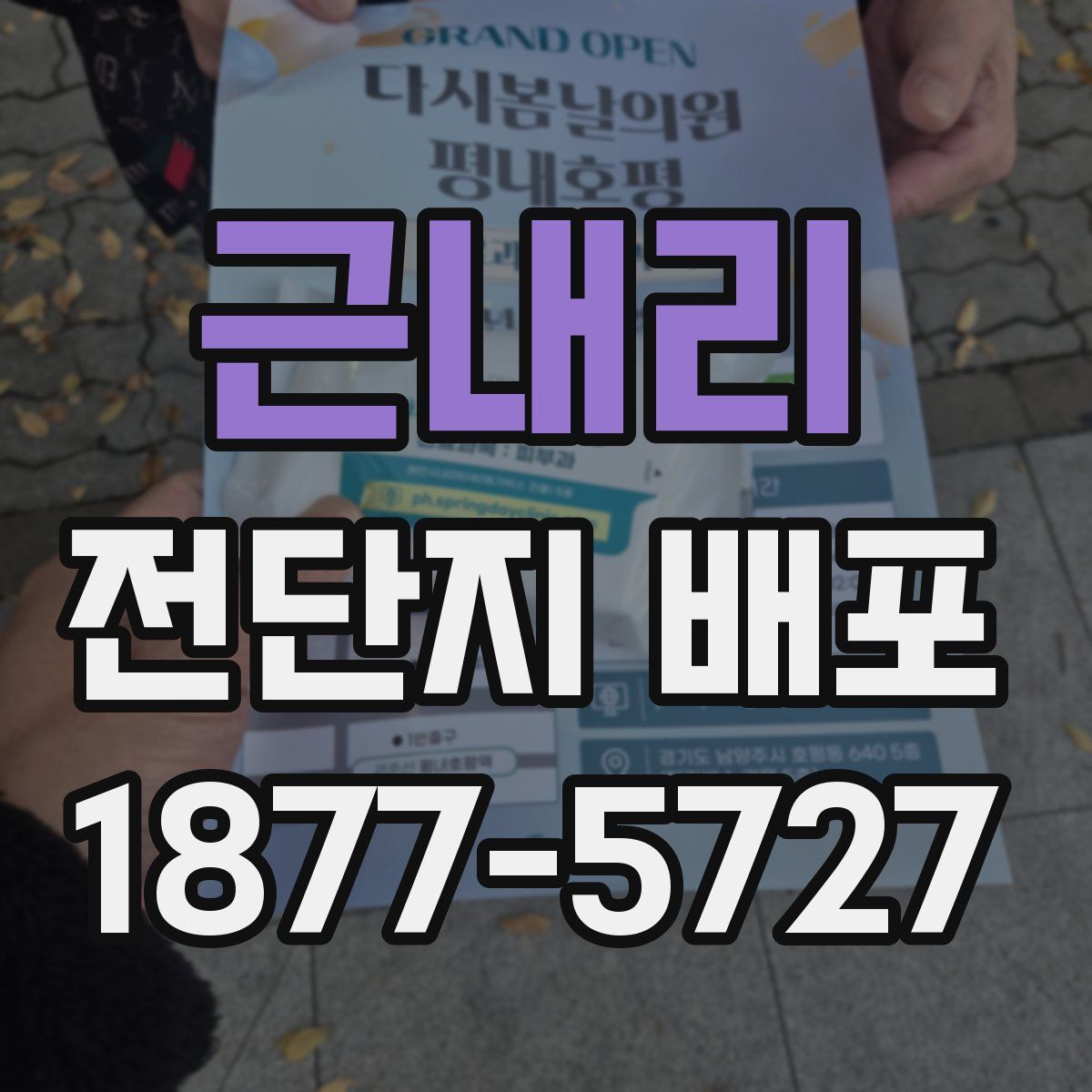 근내리 전단지 배포