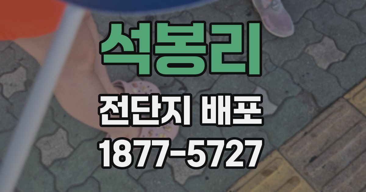 석봉리 전단지 배포
