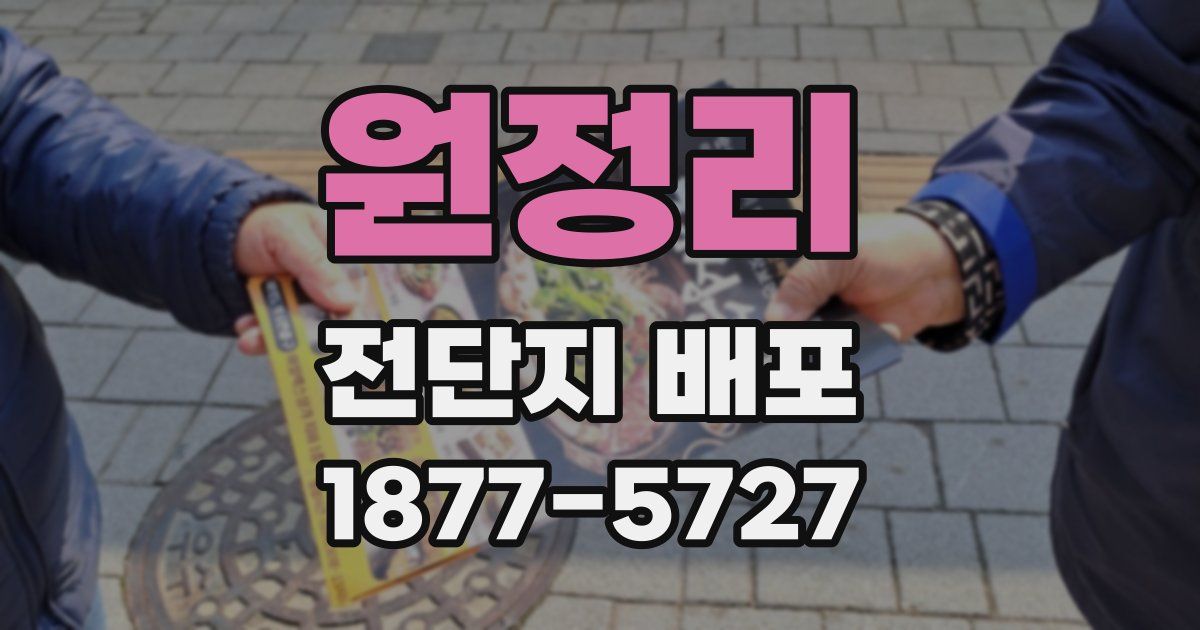 원정리 전단지 배포