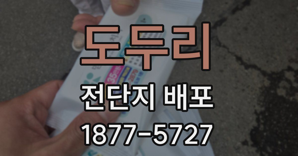 도두리 전단지 배포