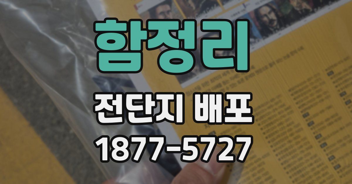 함정리 전단지 배포