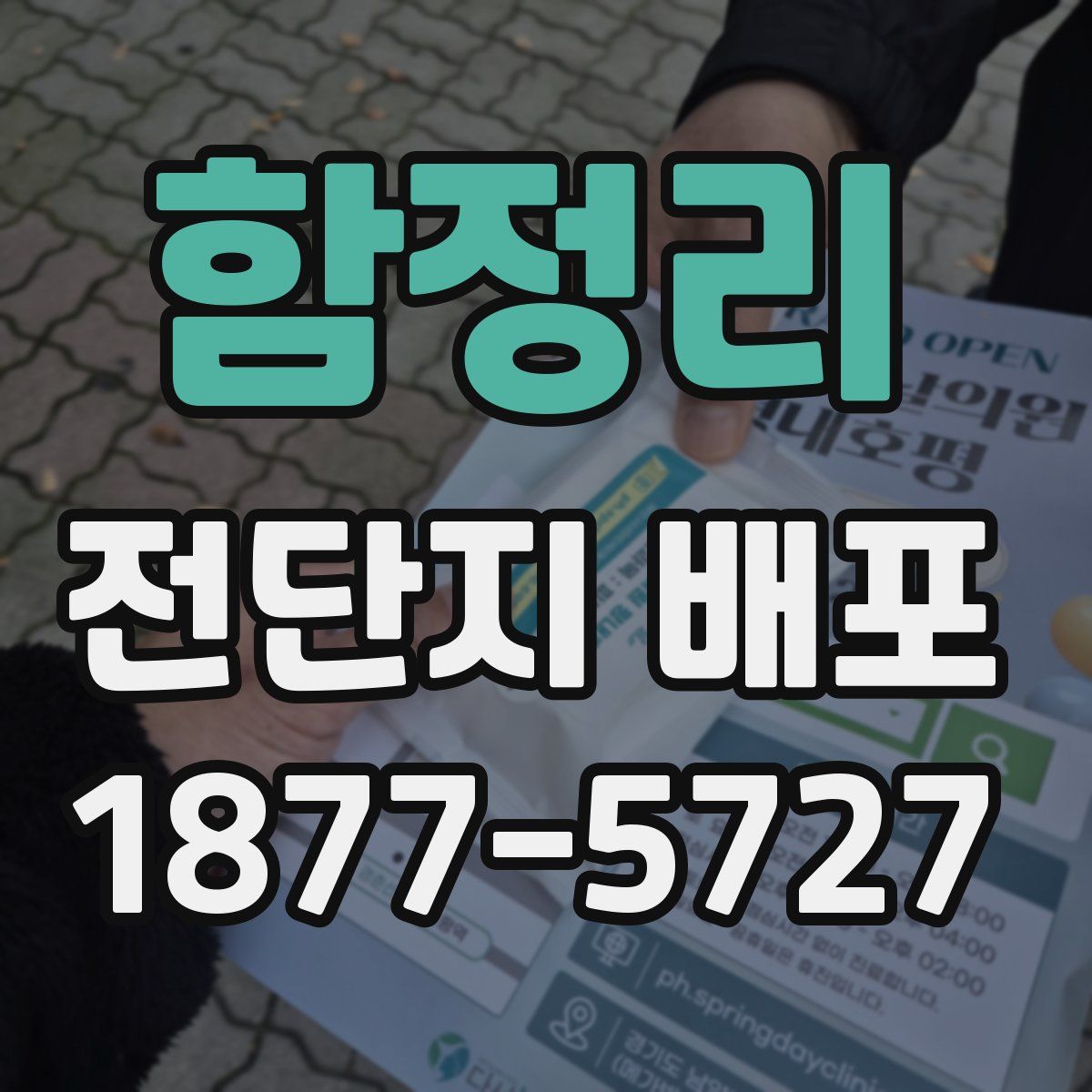 함정리 전단지 배포