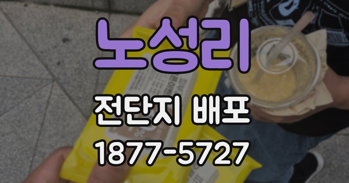 노성리 전단지 배포