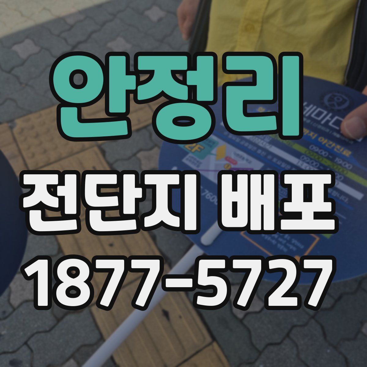 안정리 전단지 배포