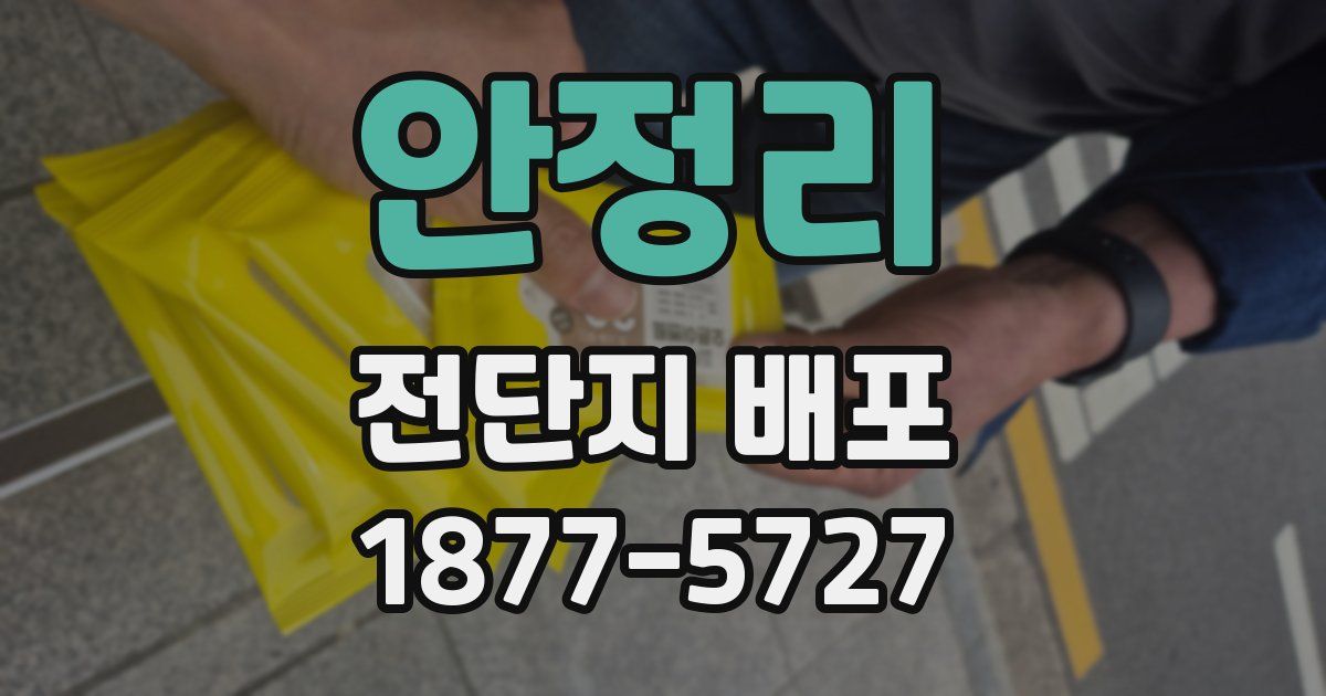 안정리 전단지 배포