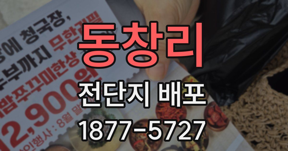 동창리 전단지 배포