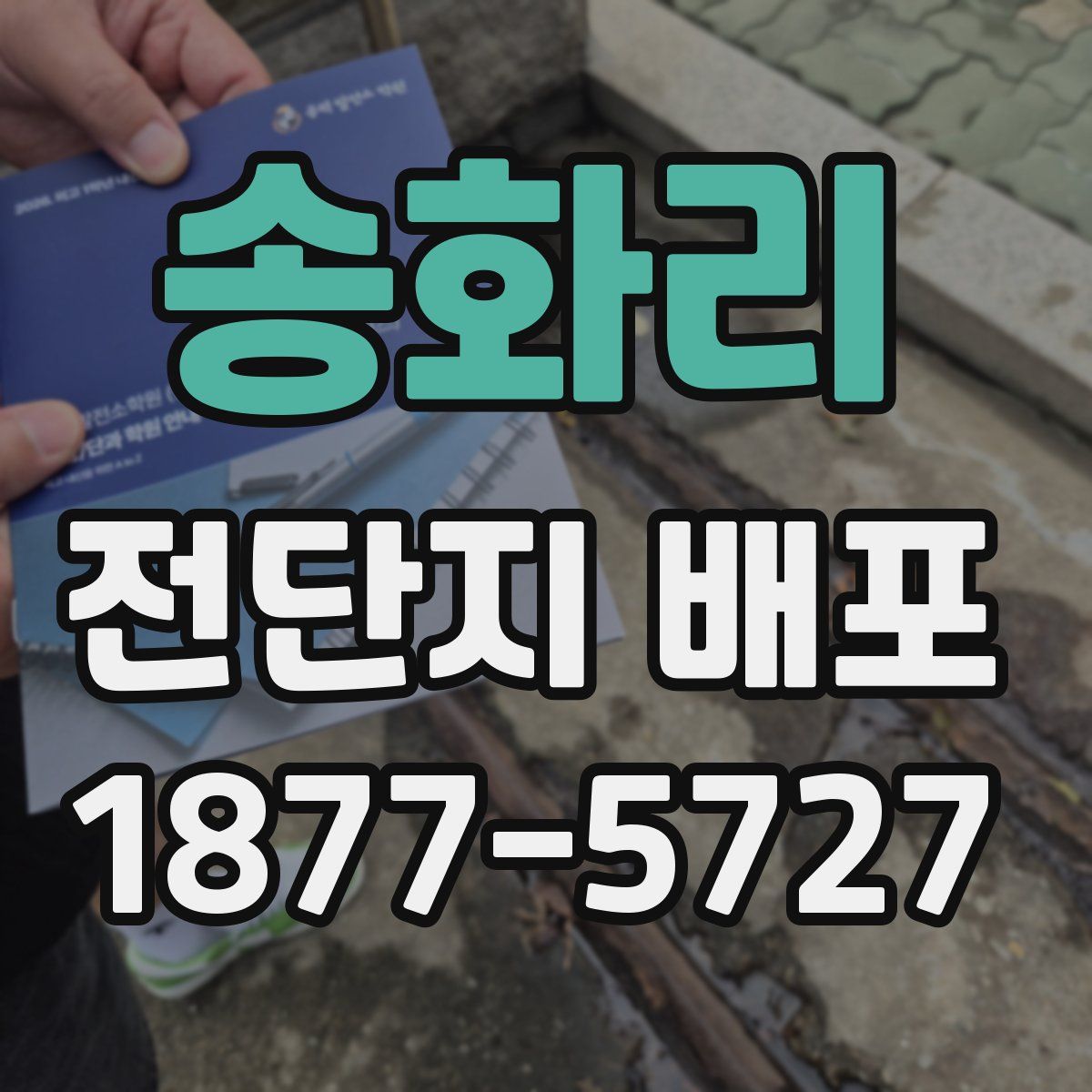 송화리 전단지 배포