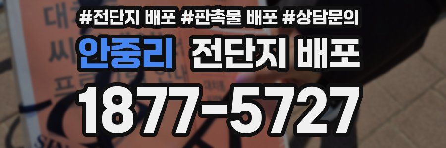 안중리 전단지 배포