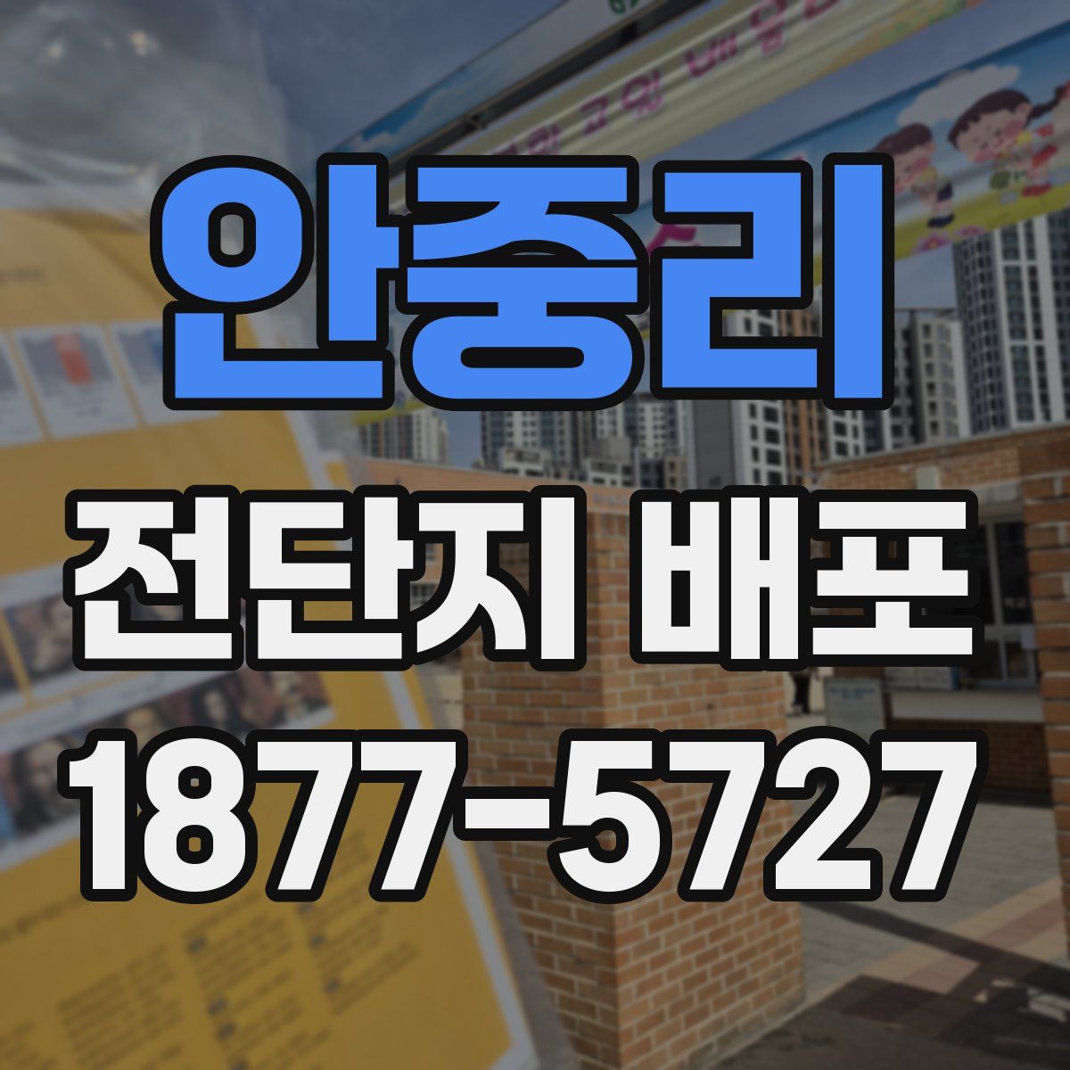 안중리 전단지 배포