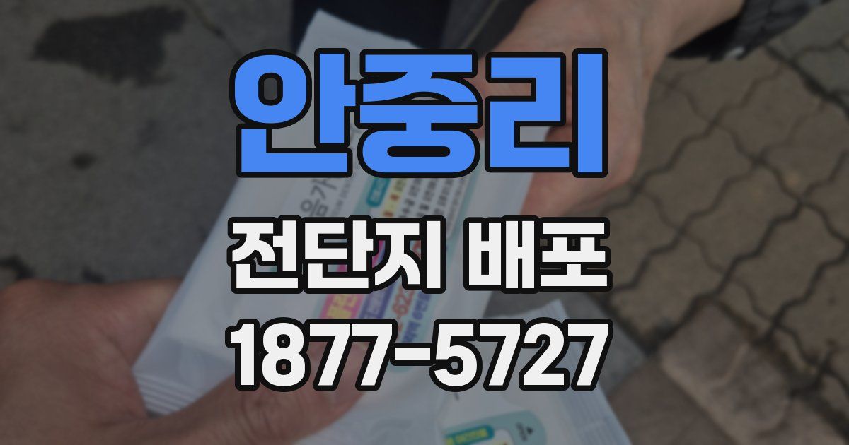 안중리 전단지 배포