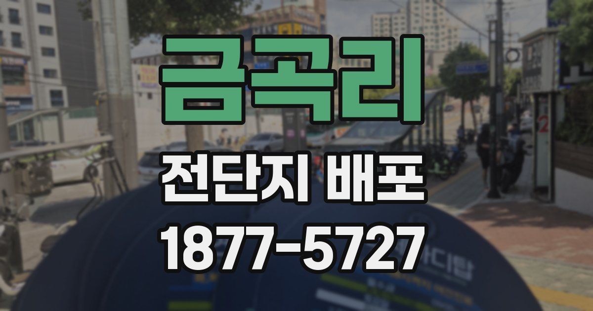 금곡리 전단지 배포