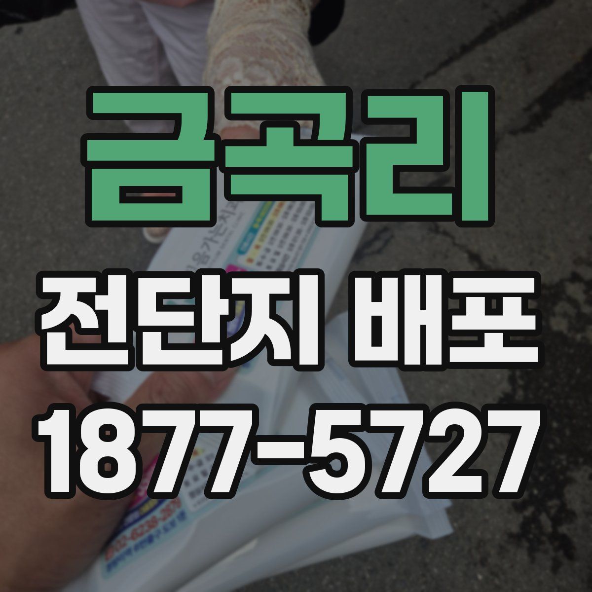 금곡리 전단지 배포