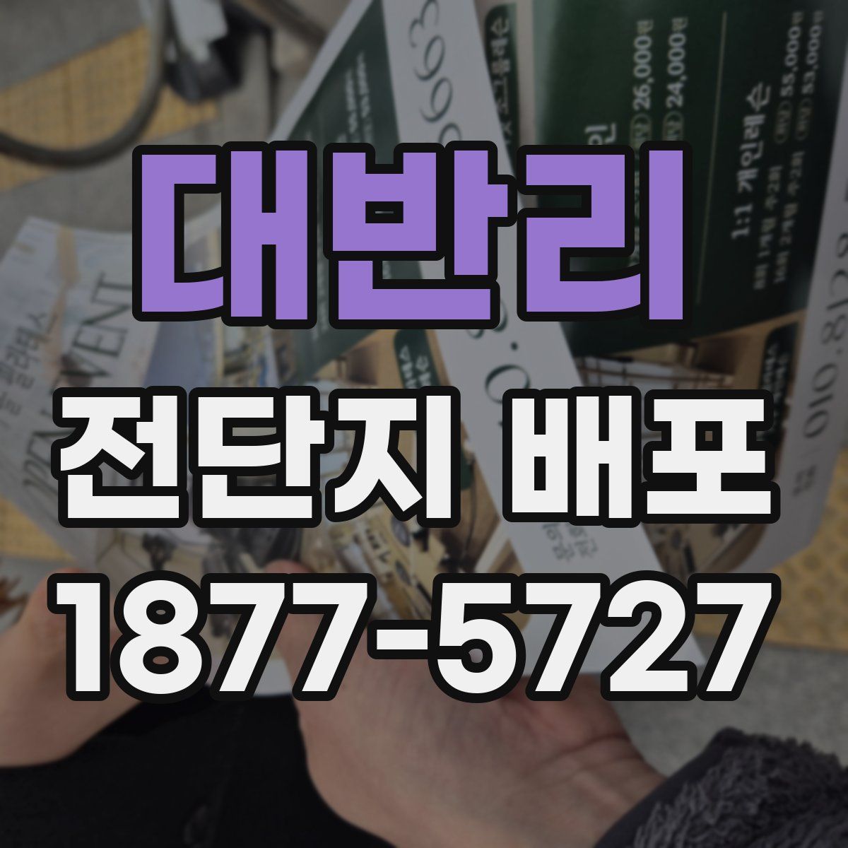대반리 전단지 배포