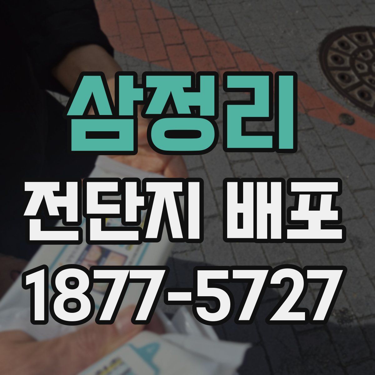 삼정리 전단지 배포