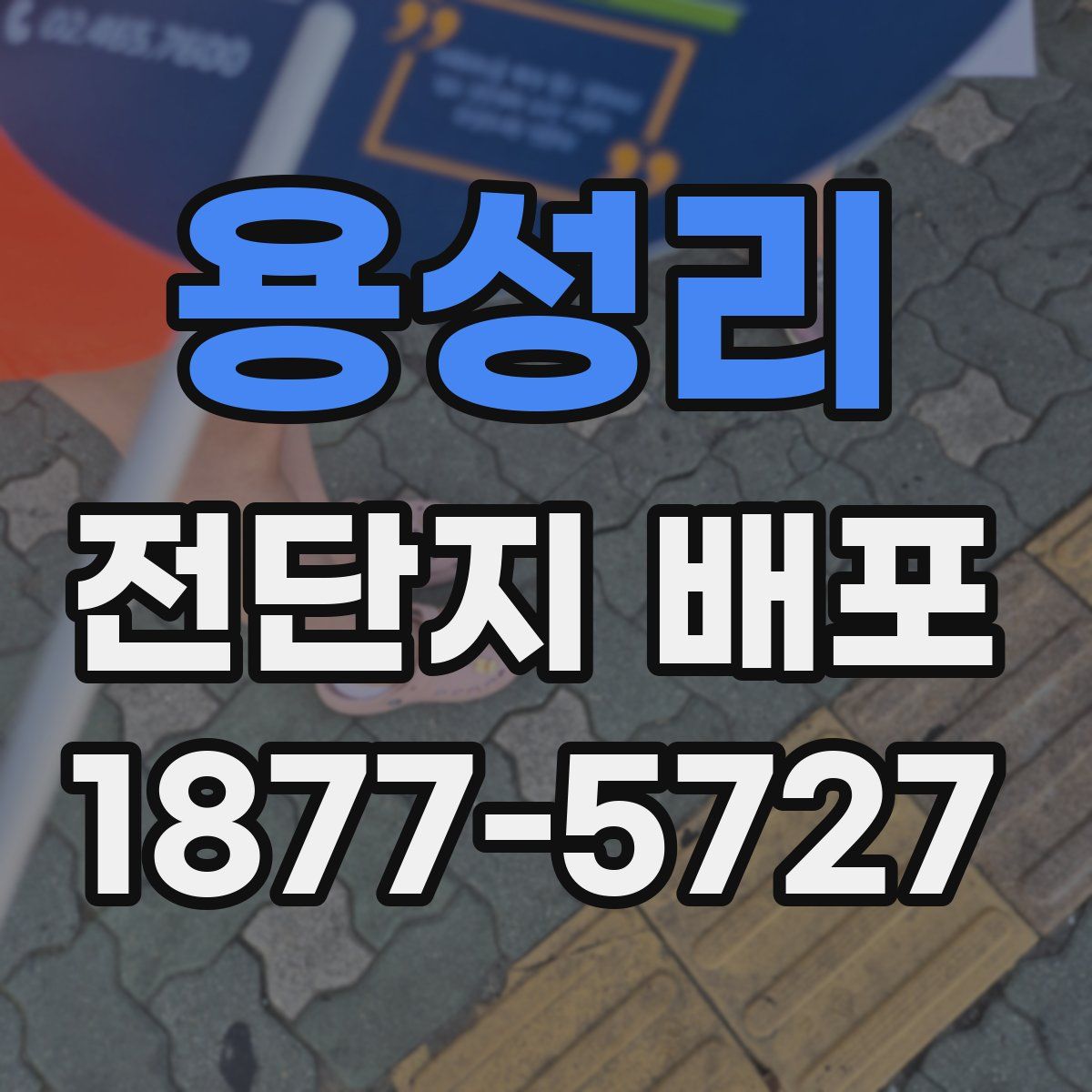 용성리 전단지 배포