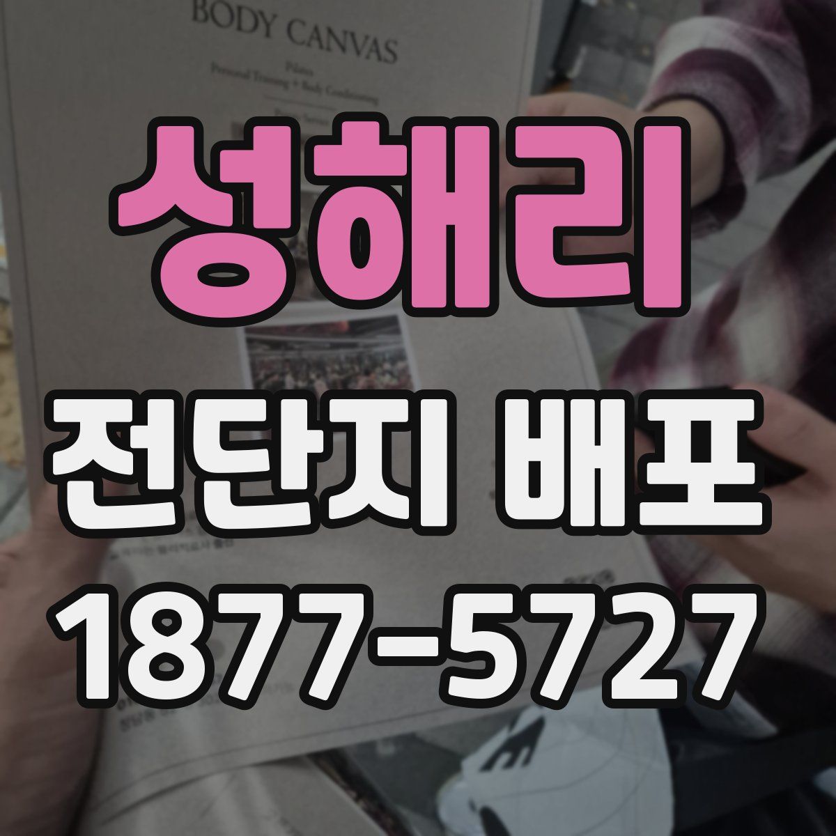 성해리 전단지 배포