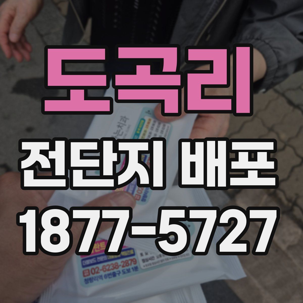 도곡리 전단지 배포