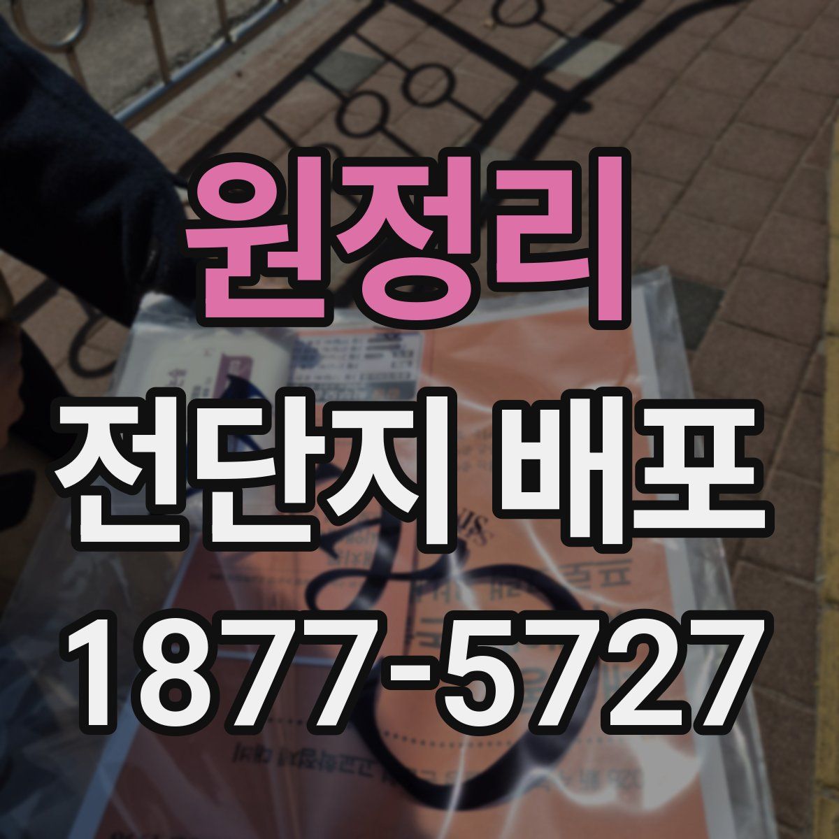 원정리 전단지 배포