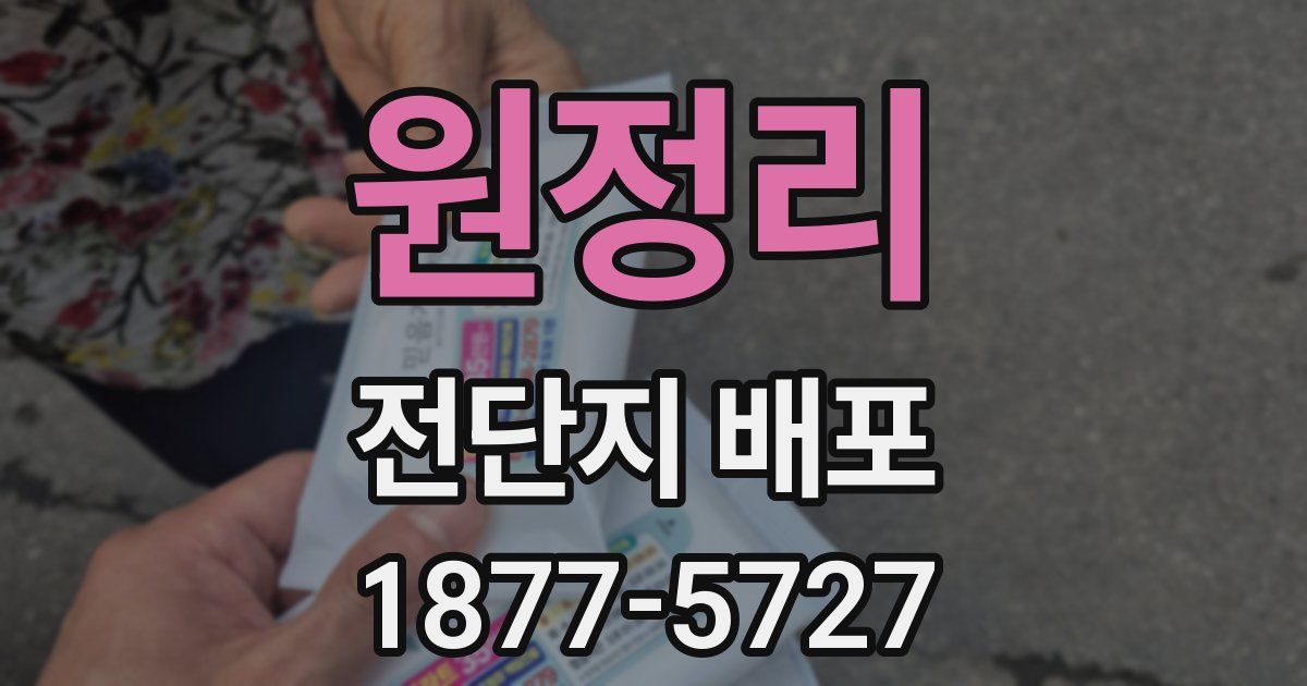 원정리 전단지 배포