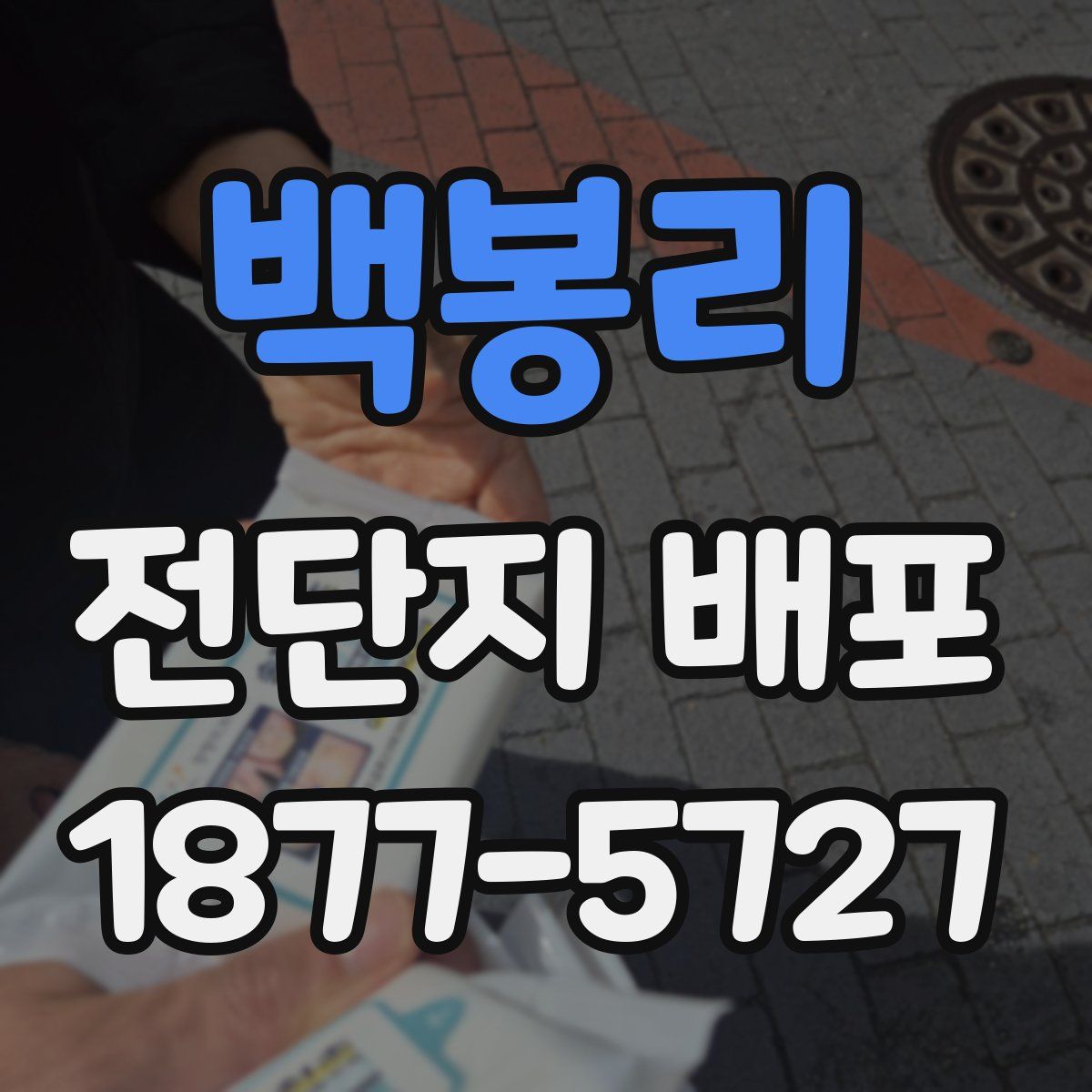 백봉리 전단지 배포