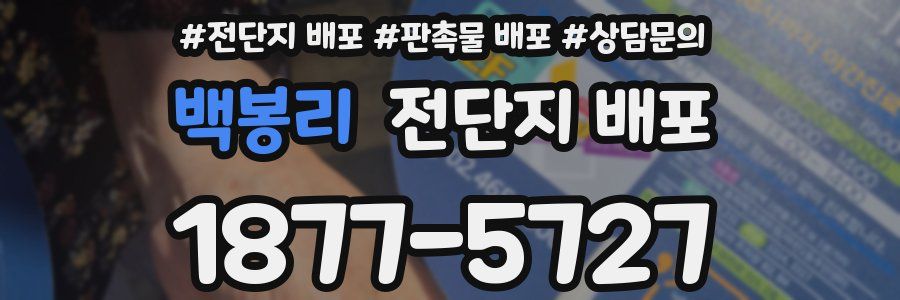 백봉리 전단지 배포