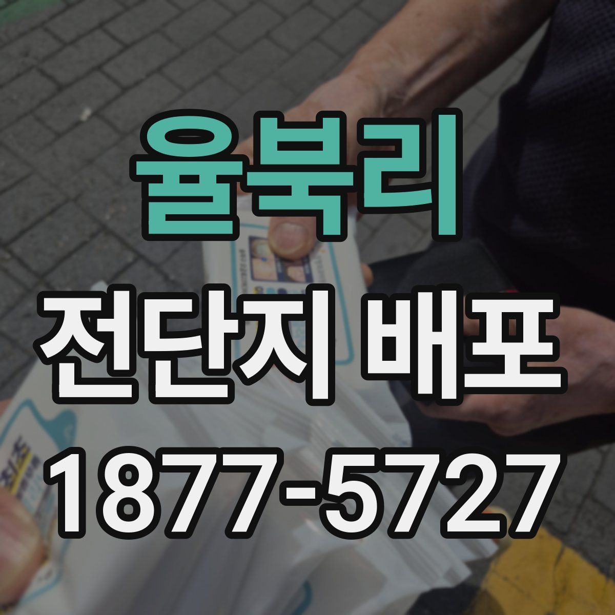율북리 전단지 배포